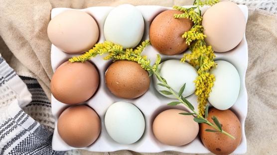 Yumurta Tüketimi Hakkında Bilmeniz Gereken Her Şey