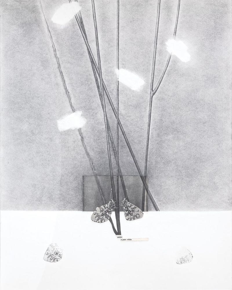 Sanatçılardan Depremzedelere Destek