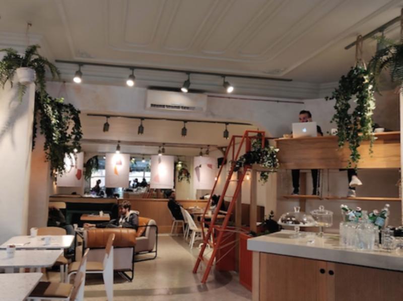 İstanbul'un Hayvan Dostu 10 Mekanı