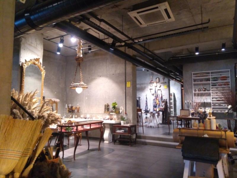 İstanbul'un Hayvan Dostu 10 Mekanı