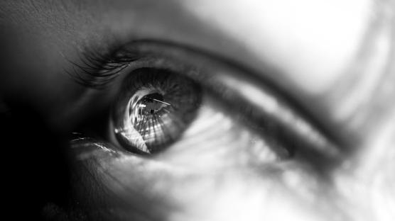 Renk körlüğü testi: Göz sağlığına dair merak edilen her şey