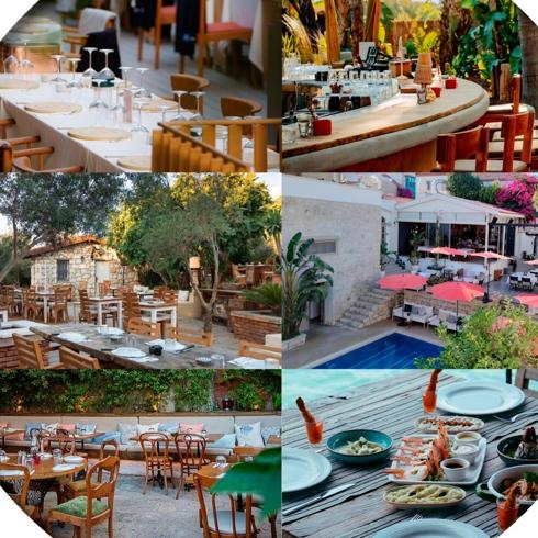 Alaçatı'nın En İyi Restoranları