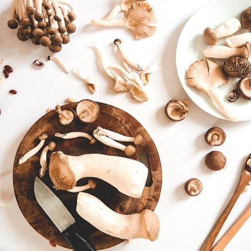 Mantar Zengini Türkiye'de Bulabileceğiniz Yenilebilir Mantarlar