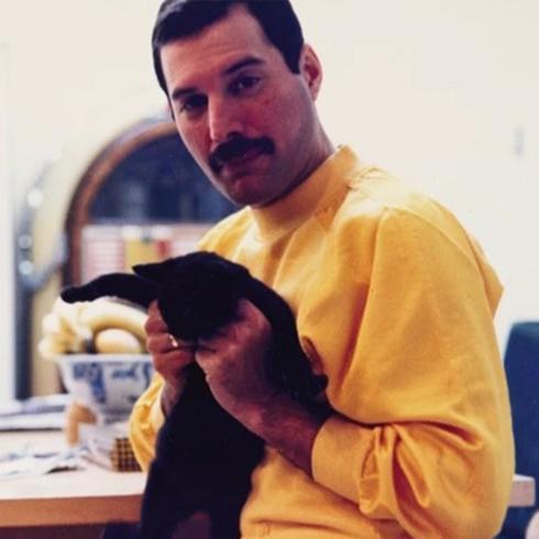 Sotheby's Sergisi: Freddie Mercury ve Kedileri
