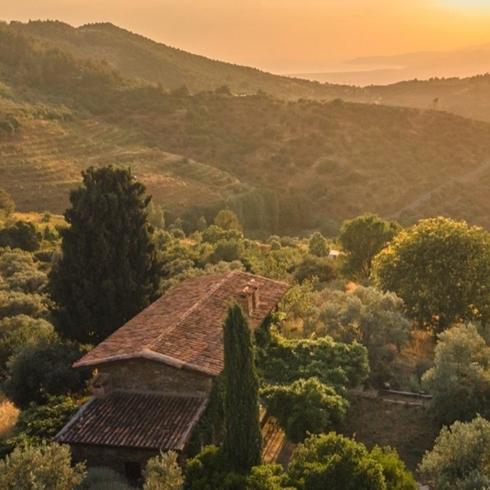 Türkiye'nin En İyi Bağ Otelleri