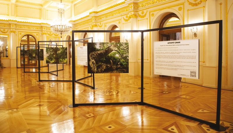 “Sessiz Gözcüler” Sergi Daveti