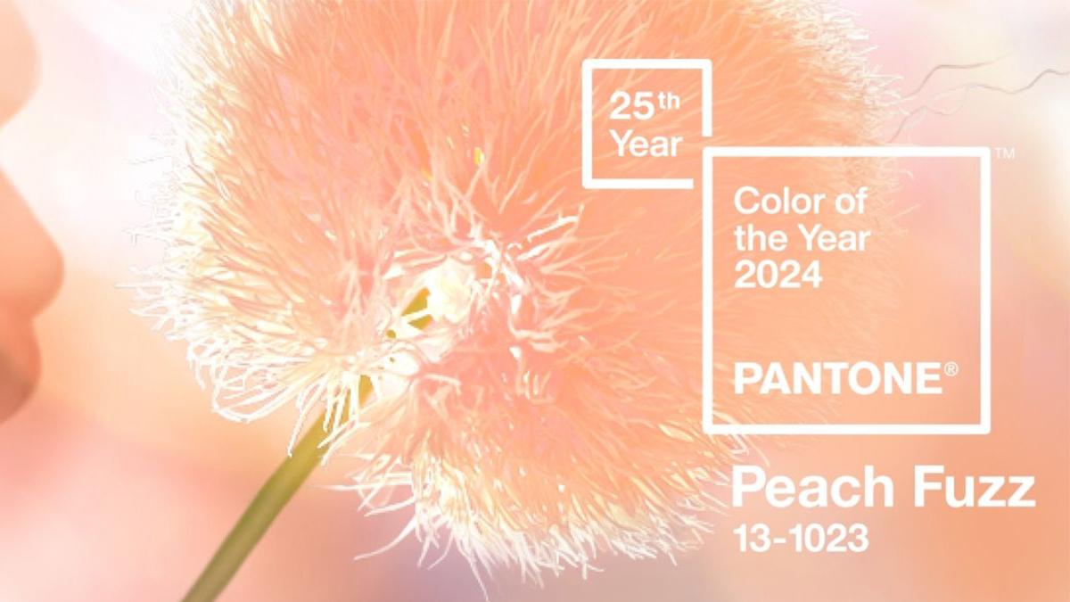 Pantone 2024'ün Rengini Açıkladı Peach Fuzz Alem Dergisi