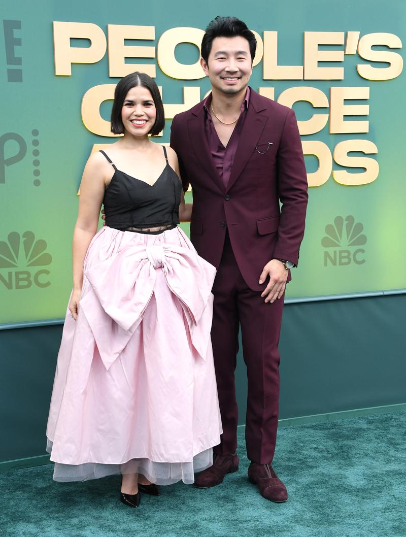 49. People's Choice Ödülleri: Kazananlar ve Kırmızı Halı