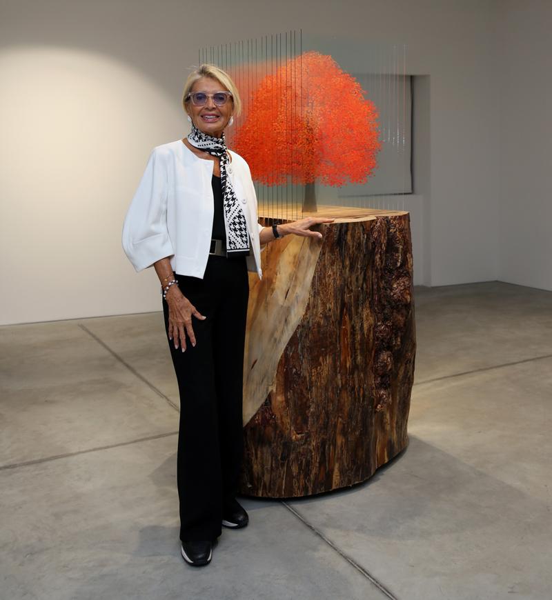 Ardan Özmenoğlu'ndan Yeni Sergi