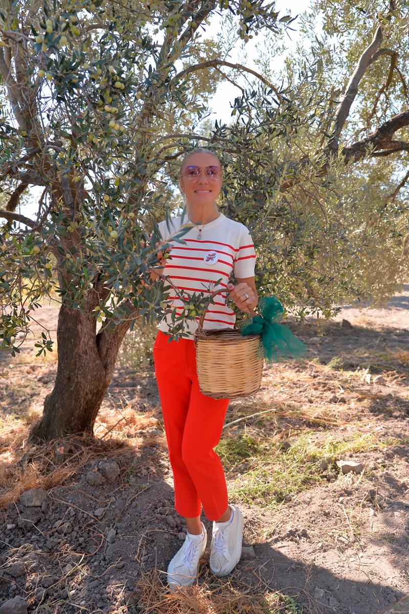 Atma Derneği Zeytin Hasadı