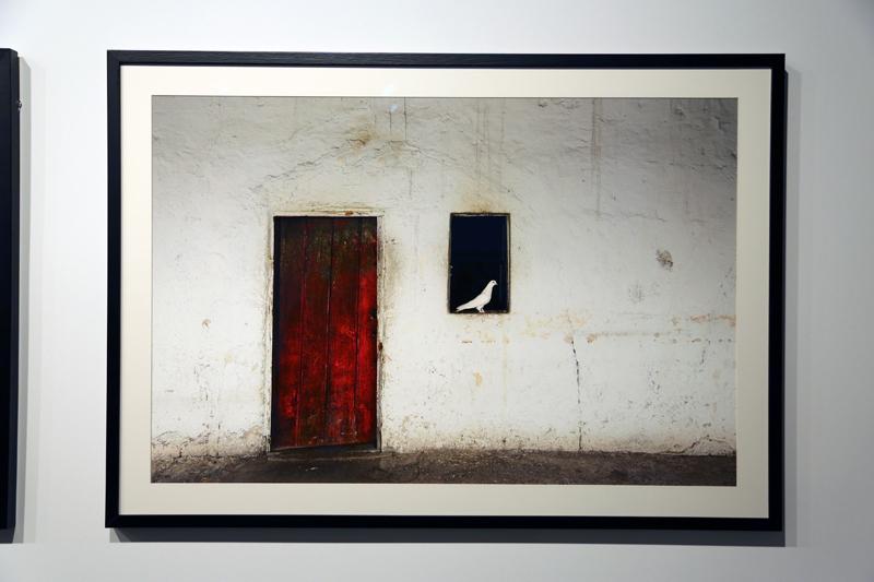 İzzet Keribar Sergisi Açıldı