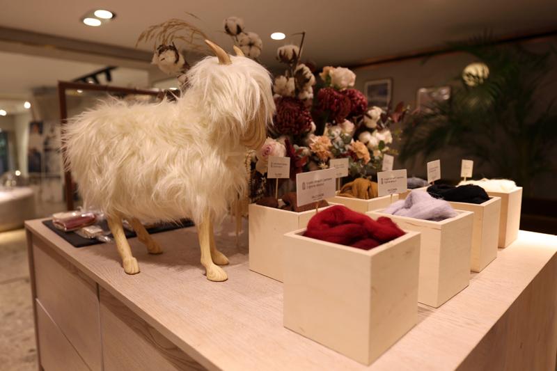 Falconeri Koleksiyon Tanıtımı