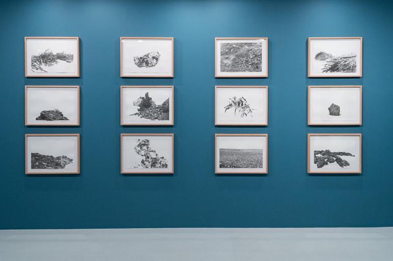 Akbank Sanat'ta Sergi: S.O.S.