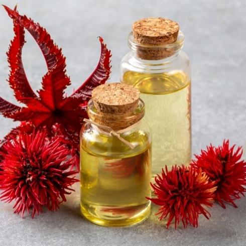 Hollywood'un Hint Yağı Tutkusu