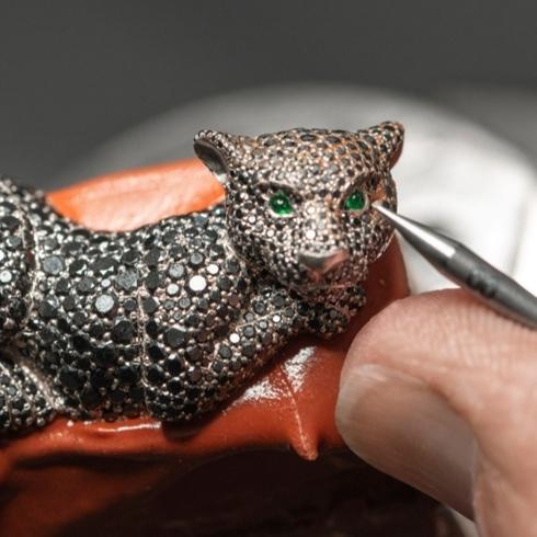 "Red Carpet Koleksiyonu": Caroline'in Evreni