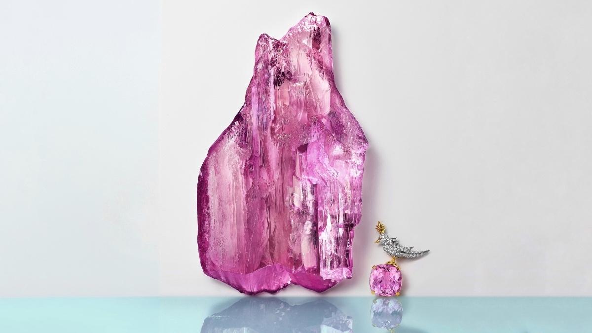 Tasarım, Doğa ve Tarihin Kesişim Noktası