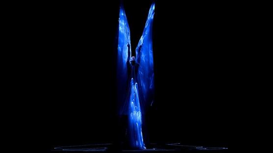 Iris van Herpen ile Modanın Biyolojik Evrimi: “Sympoiesis”