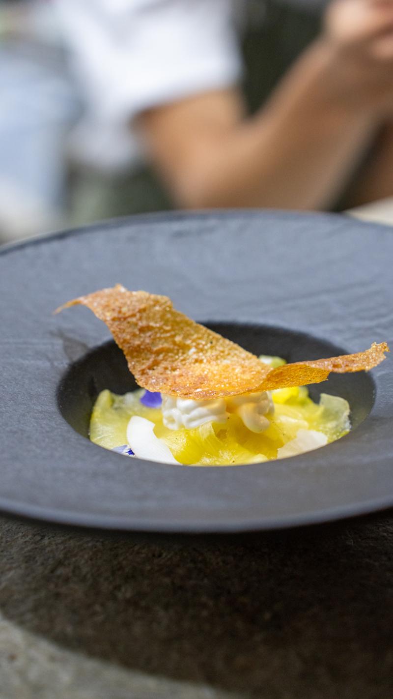 Gastronomi Durağı: Savor