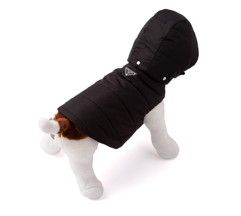 Tüylü Dostlara Lüks İmza