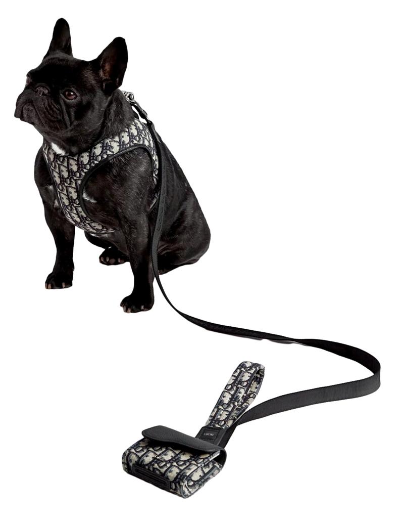 Tüylü Dostlara Lüks İmza