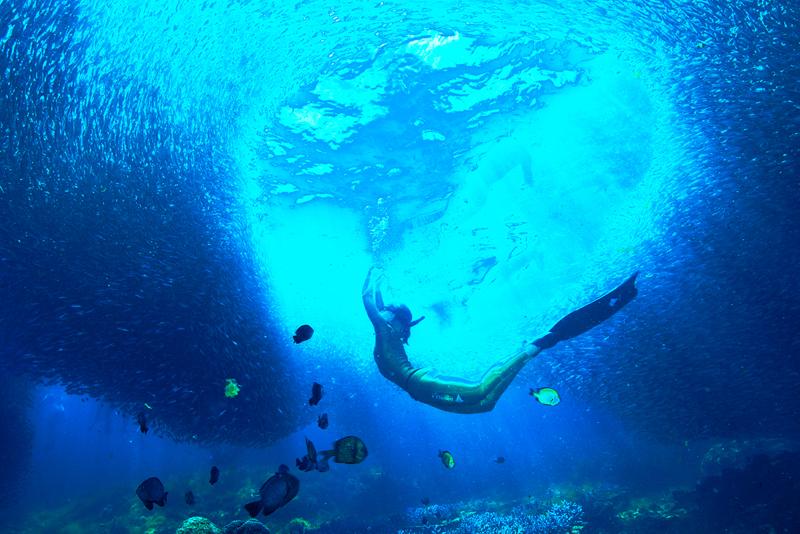 Ayşegül Dinçkök'ten Yeni Sergi