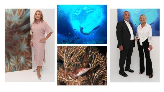 Ayşegül Dinçkök'ten Yeni Sergi