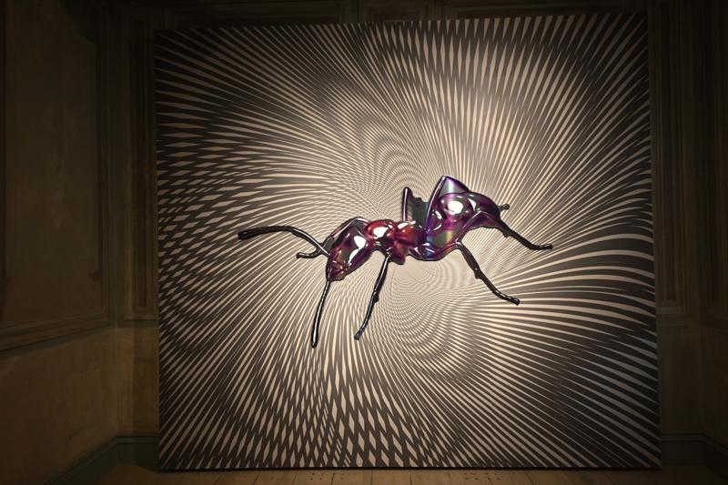 Peter Kogler'den “40 Yıllık Retrospektif”