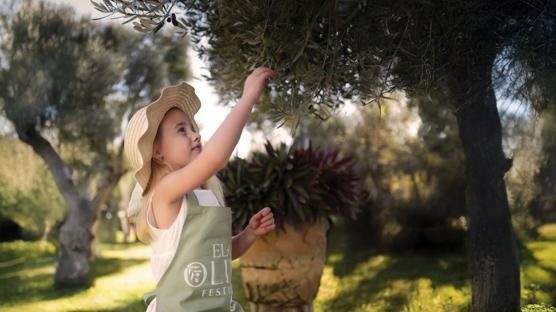 Zeytin Ağaçlarının Gölgesinde Bir Sonbahar Buluşması