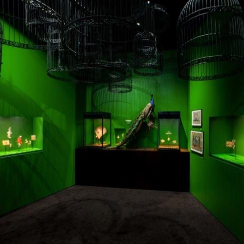 Kuşların Şiirsel Güzelliği