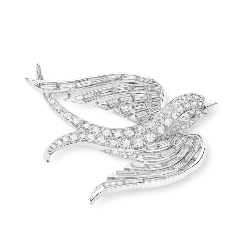 Kuşların Şiirsel Güzelliği