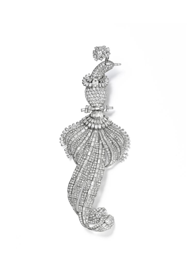 Kuşların Şiirsel Güzelliği