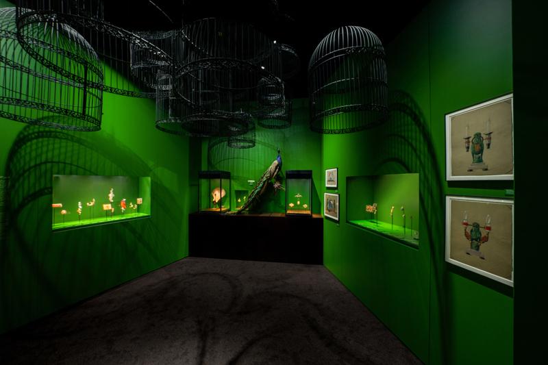 Kuşların Şiirsel Güzelliği