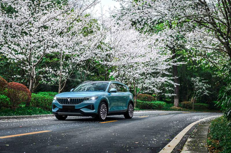 Çinli Lüks Otomobiller Hakkında Her Şey