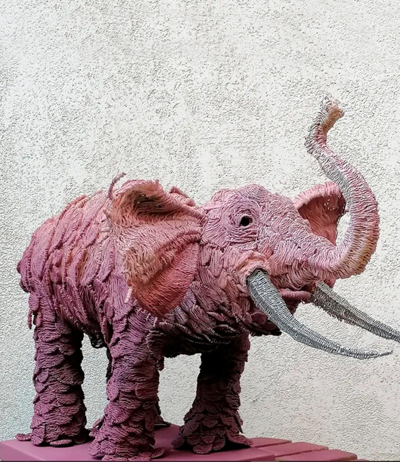 Yenilenme Çağrısı