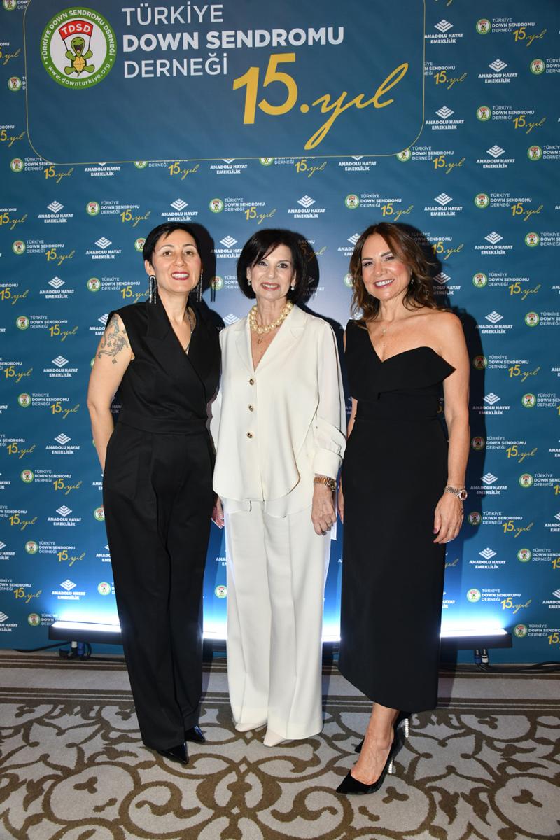 15 Yıllık Mücadele