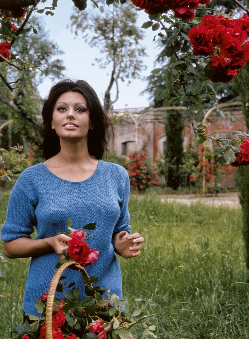 Fotoğraflarla Sophia Loren Efsanesi