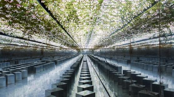 Canlı İzle: Dior Haute Couture 2026 İlkbahar/Yaz Defilesi