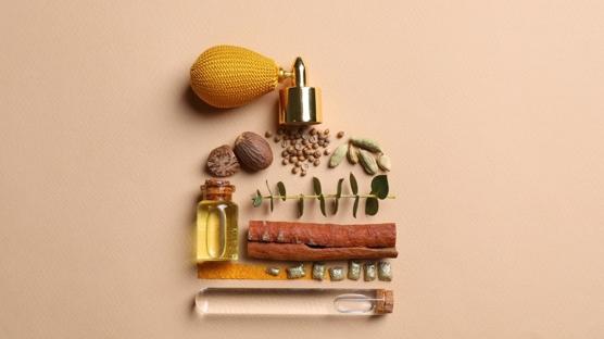 2026 Parfüm Rehberi: Trendler ve Öne Çıkan Kokular