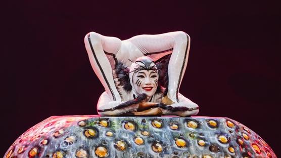 Akrobasiyle Kurulan Bir Ekosistem