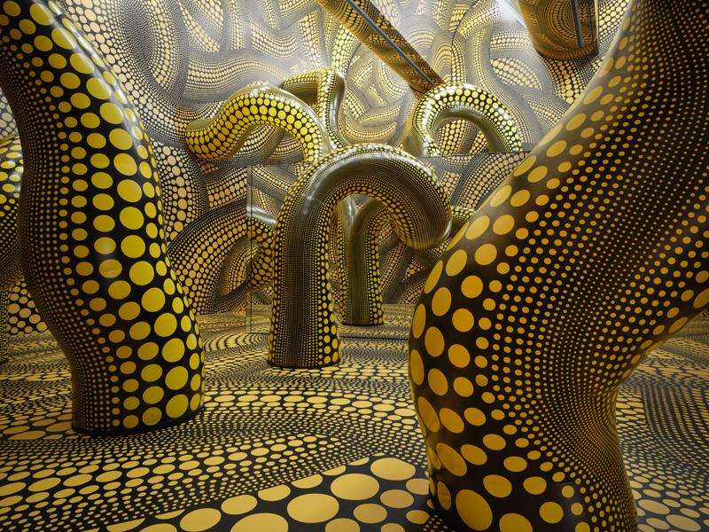 Kusama Evreni