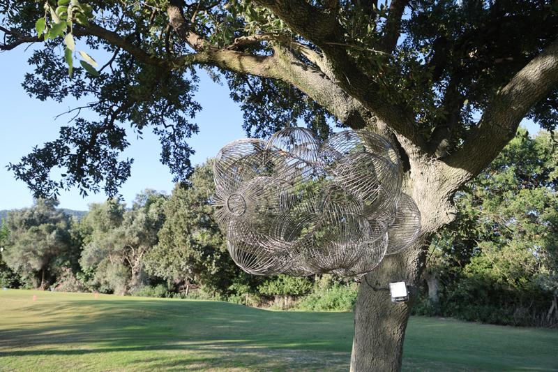 Bodrum Golf Club'da Çağdaş Sanat Sergisi