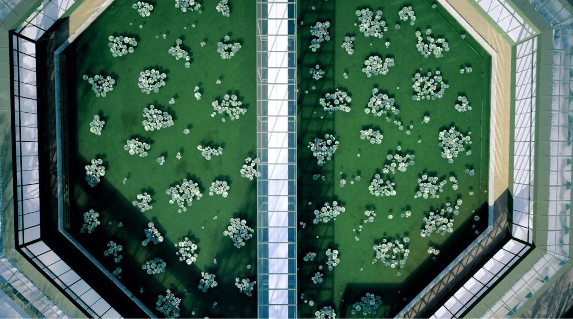 Canlı İzle: Dior 2026-27 Sonbahar/Kış Defilesi