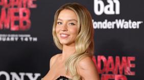 Bronzer Hakkında Bilmek İstediğiniz Her Şey