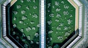 Canlı İzle: Dior 2026-27 Sonbahar/Kış Defilesi