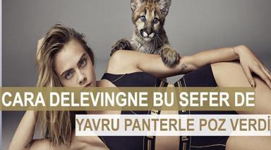 PANTERLE POZ VERDİ