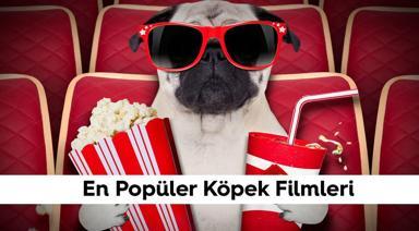 Tüm Zamanların En İyi Köpek Filmleri