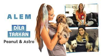 Dila Tarkan Doğruer ve Köpekleri Astro & Peanut ile Birlikteyiz