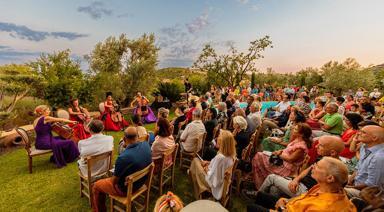 Sounds of Paşaköy Hakkında Bilmeniz Gereken Her Şey