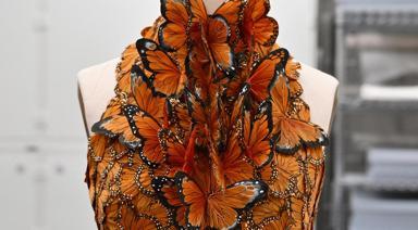 2024 MET Gala Hakkında Bilmeniz Gerekenler