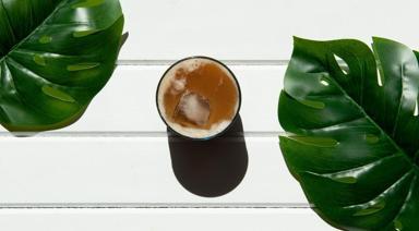 Matcha'nın Sessiz Rakibi: Hojicha Hakkında Bilmeniz Gereken Her Şey